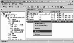 優化您的Server 基于“中華電腦書庫”理念的SQL Server數據庫維護計劃實施指南